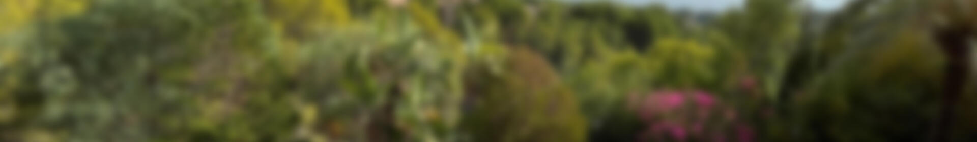 4 Schlafzimmer Villa zu verkaufen