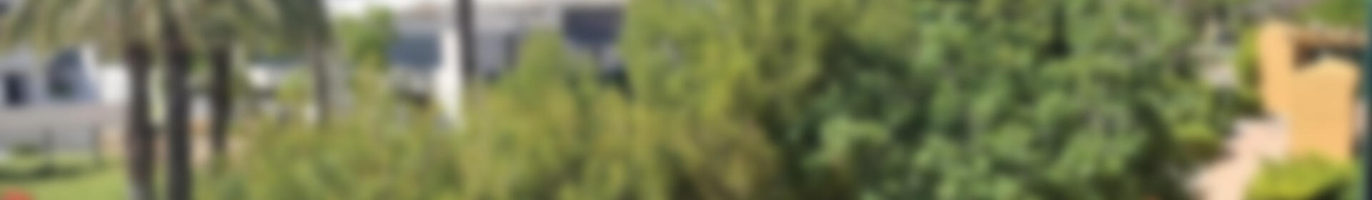 2 soveværelse Villa til salg