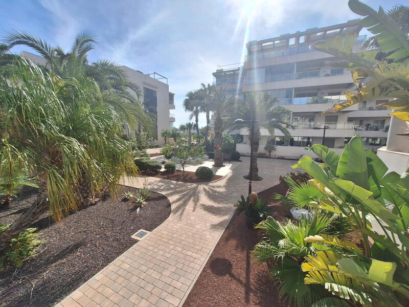 3 slaapkamer Appartement Te koop