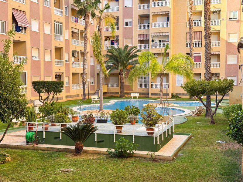 1 slaapkamer Appartement Te koop 1 slaapkamer Appartement Te koop