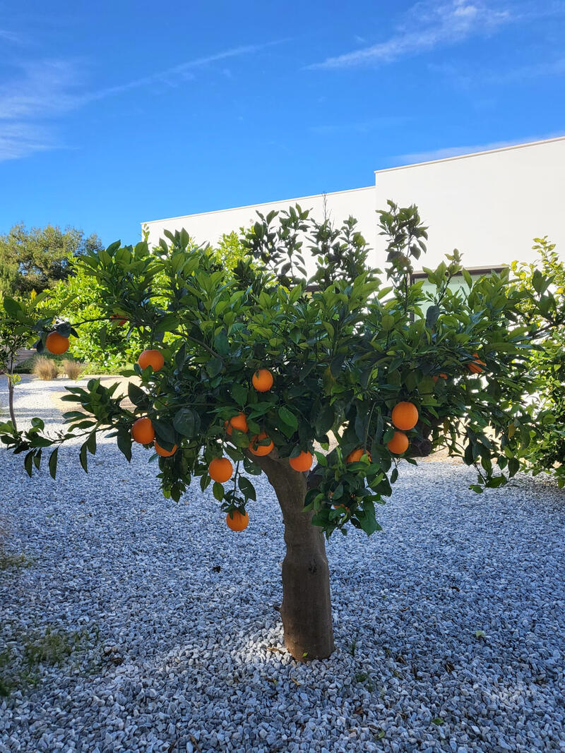 4 sovrum Villa till salu