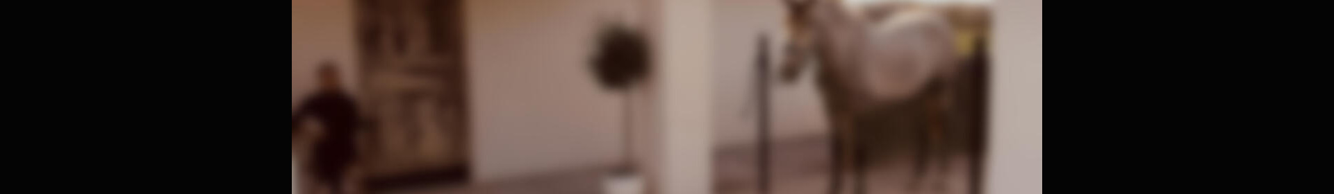 2 soverom Herregård til salgs