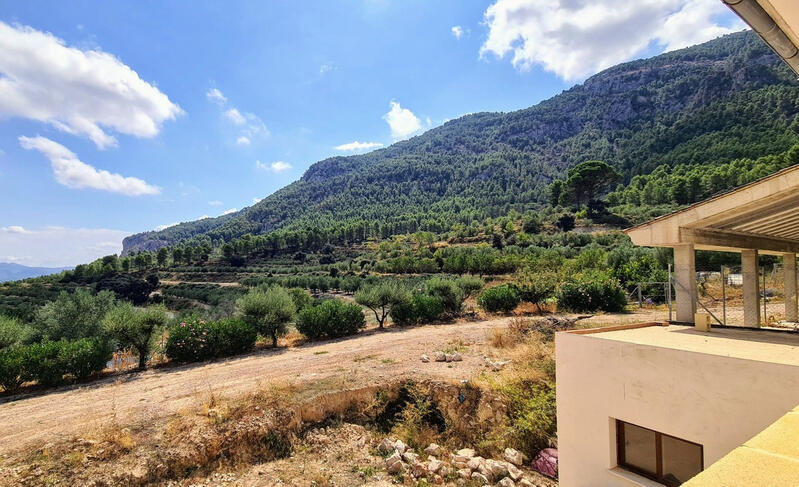 13 soverom Herregård til salgs