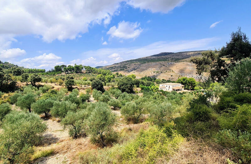 13 soverom Herregård til salgs