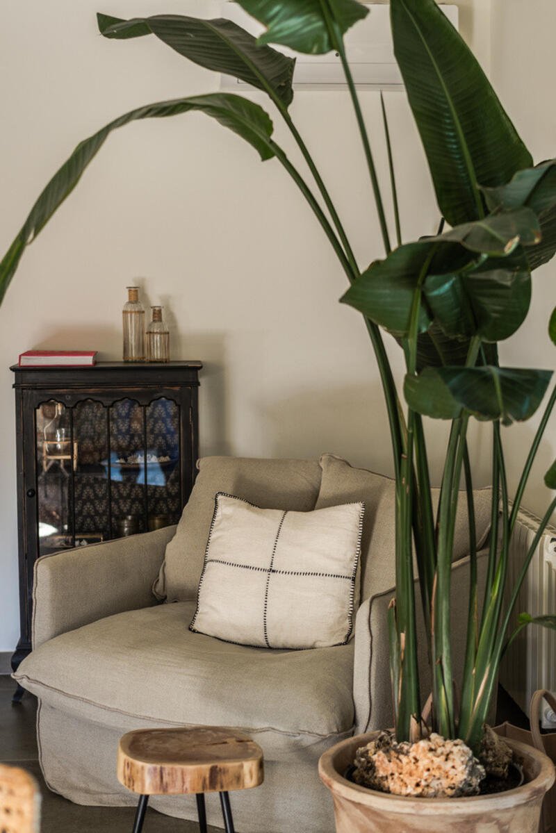 5 chambre Villa à vendre