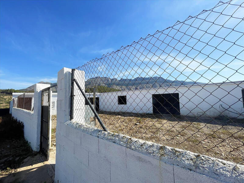 5 soveværelse Villa til salg