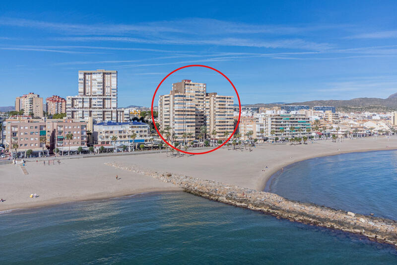 3 slaapkamer Appartement Te koop