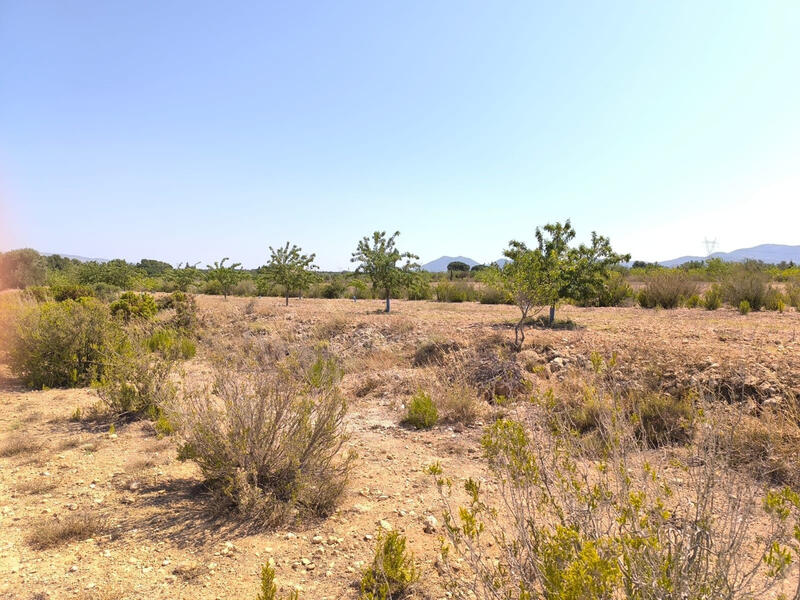 6 sovrum Lantställe till salu