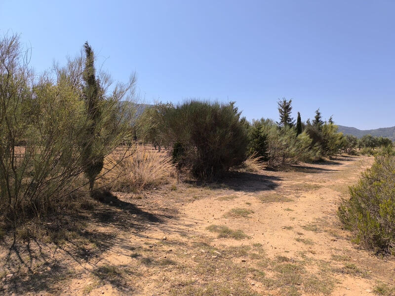 6 sovrum Lantställe till salu