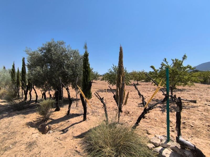 6 sovrum Lantställe till salu