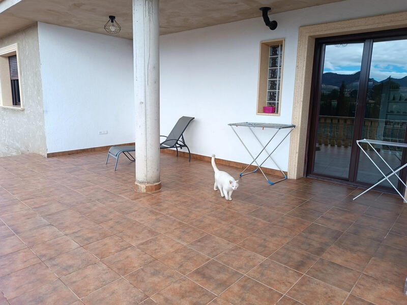 5 chambre Villa à vendre