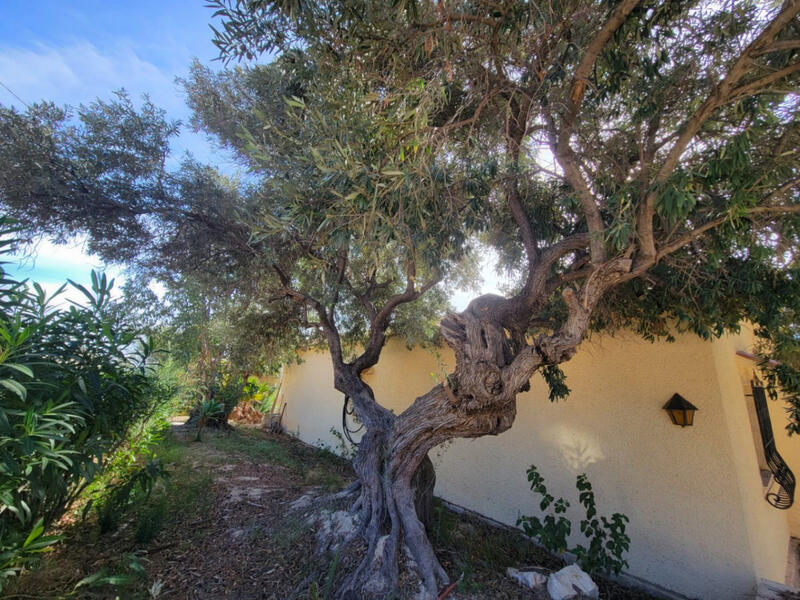 3 soveværelse Villa til salg 3 soveværelse Villa til salg