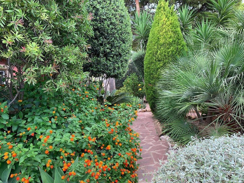 3 Cuarto Villa en venta