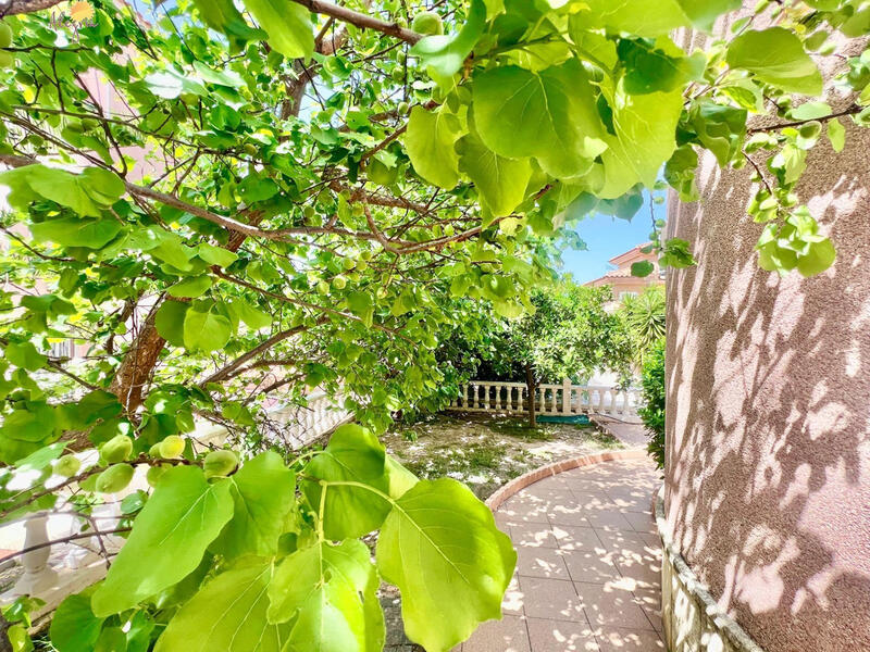 3 chambre Villa à vendre 3 chambre Villa à vendre