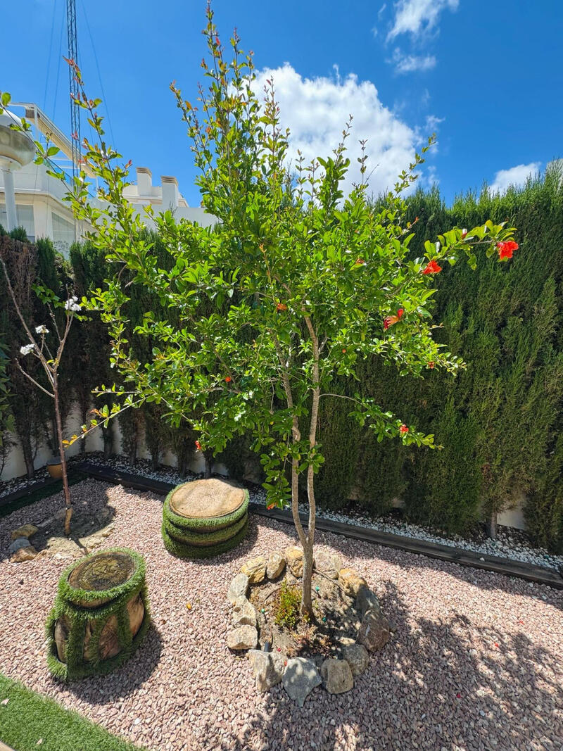 3 chambre Villa à vendre