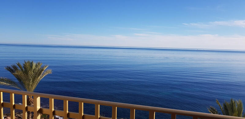 3 Cuarto Apartamento en venta