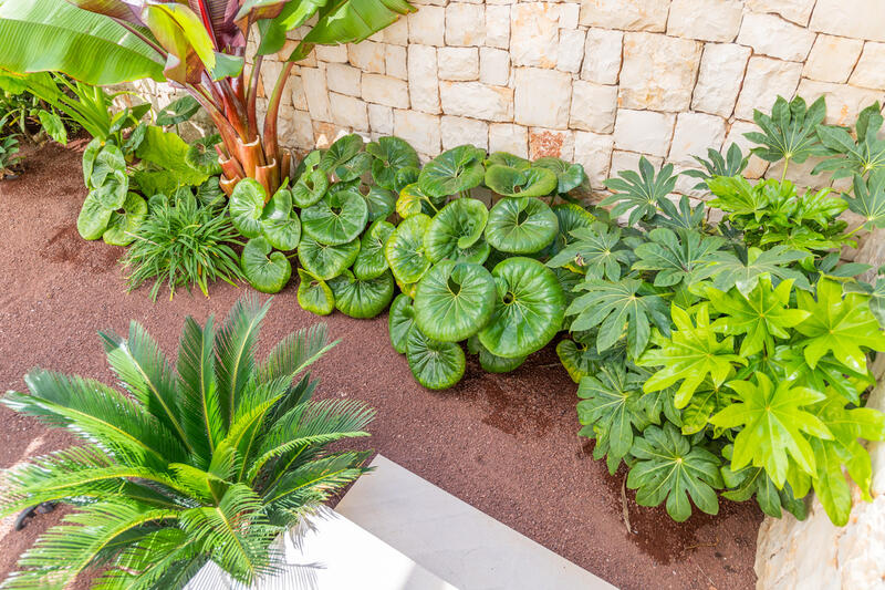 4 chambre Villa à vendre