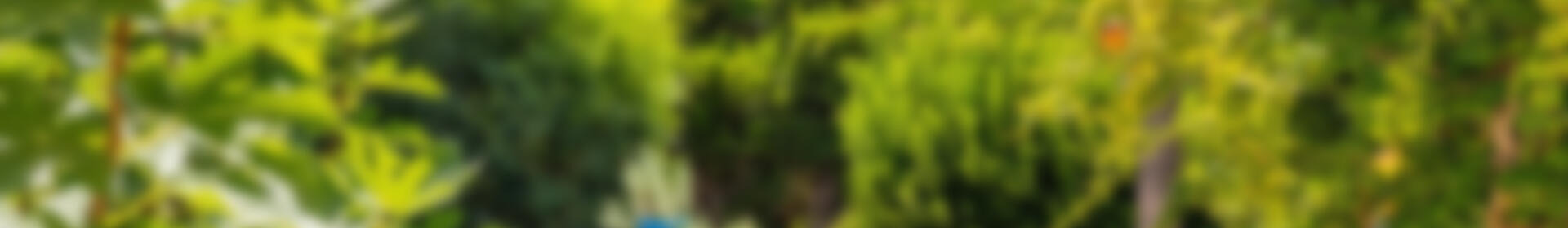 3 slaapkamer Villa Te koop