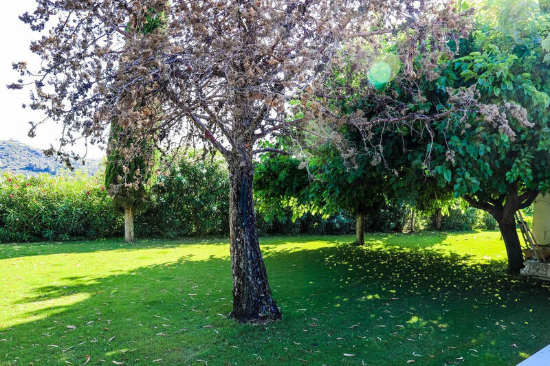 5 bedroom Villa for sale