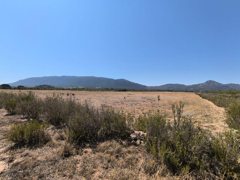 6 soveværelse Landsted til salg