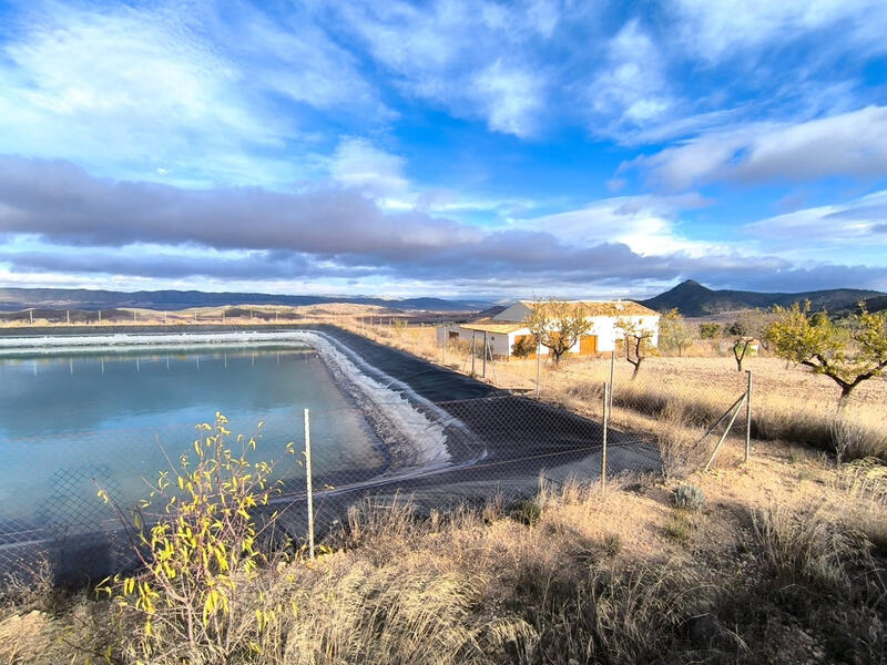 5 soverom Herregård til salgs 5 soverom Herregård til salgs