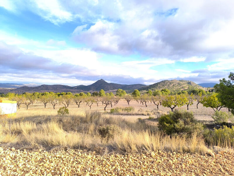 5 soverom Herregård til salgs 5 soverom Herregård til salgs