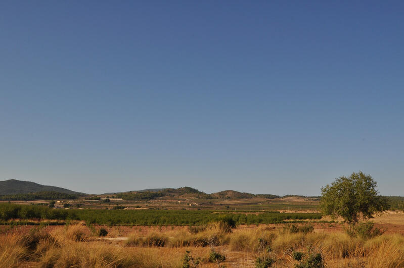 8 soverom Herregård til salgs 8 soverom Herregård til salgs