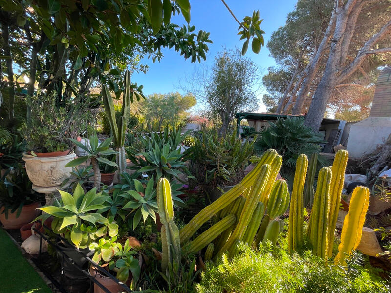 5 chambre Villa à vendre 5 chambre Villa à vendre