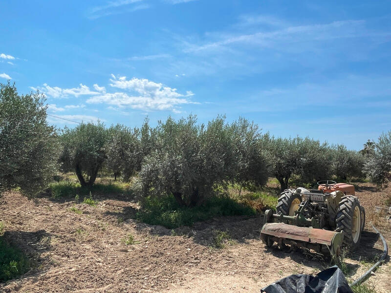 4 bedroom Villa for sale