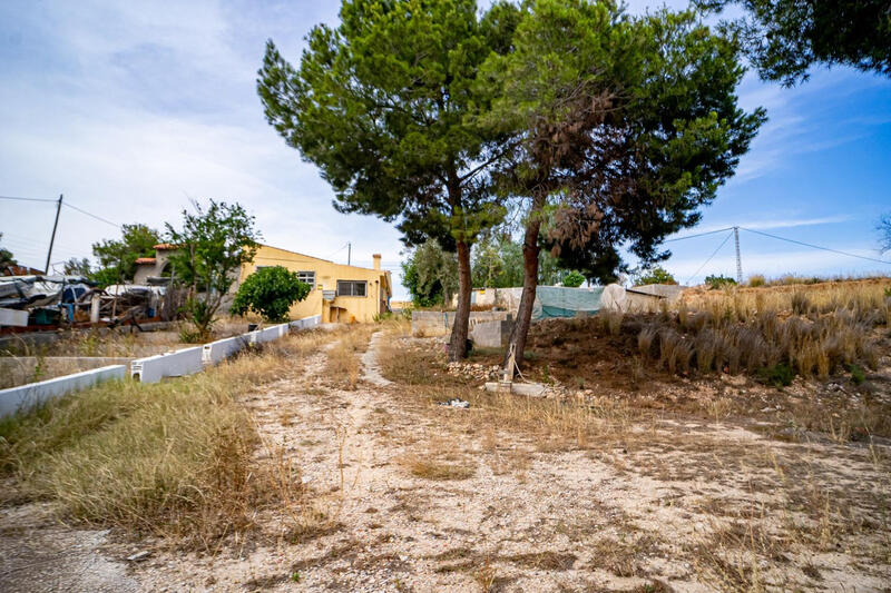 4 chambre Auberge à vendre