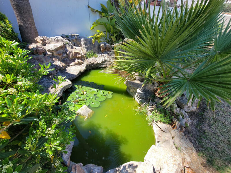 10 chambre Villa à vendre