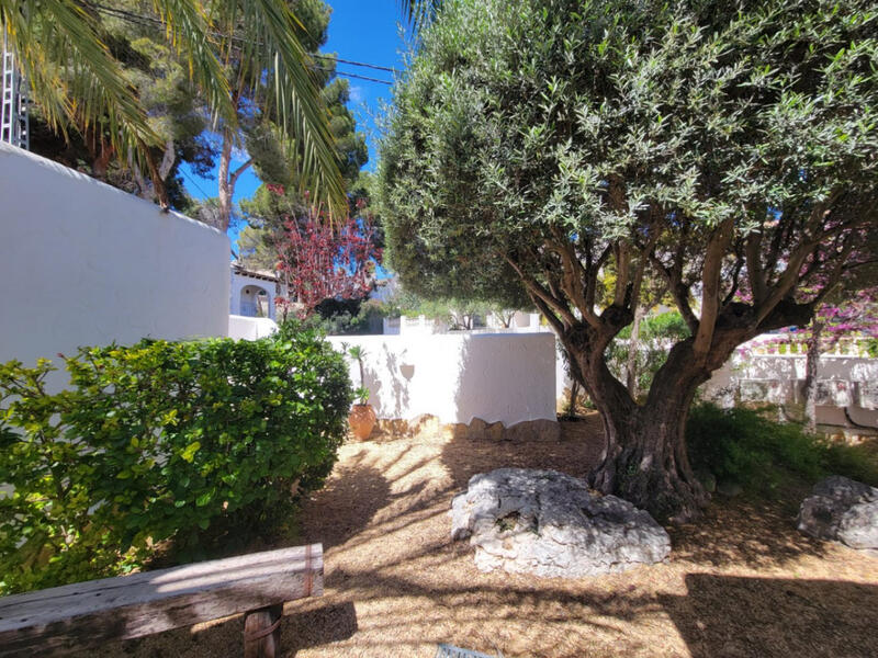 10 chambre Villa à vendre