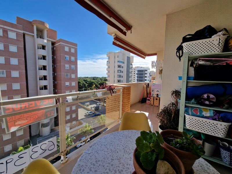 3 Cuarto Apartamento en venta 3 Cuarto Apartamento en venta