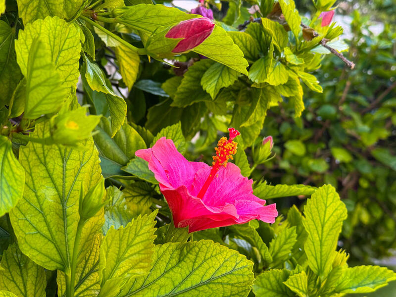 Apartment for sale in Torrevieja, Alicante Apartment for sale in Torrevieja, Alicante