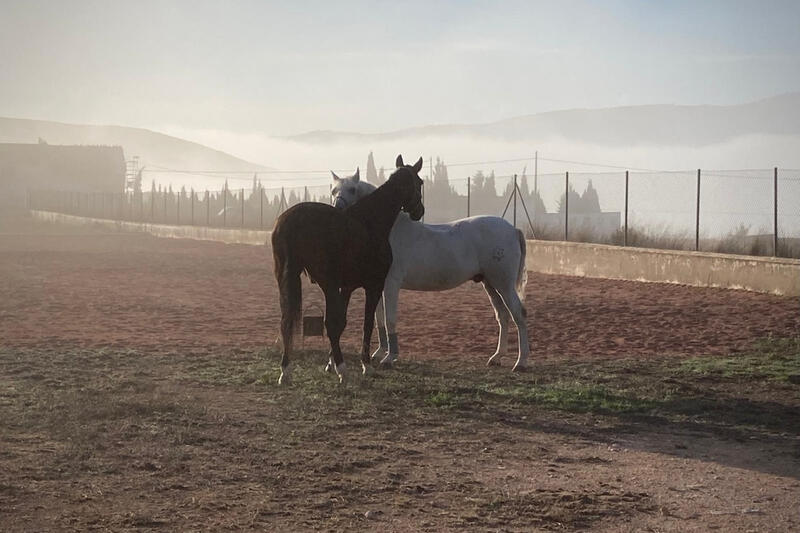 3 soveværelse Landsted til salg