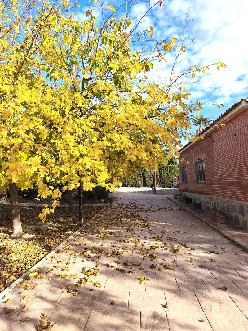 5 chambre Villa à vendre