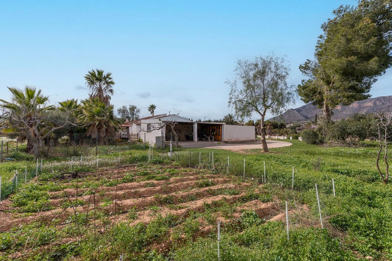 3 bedroom Country House for sale