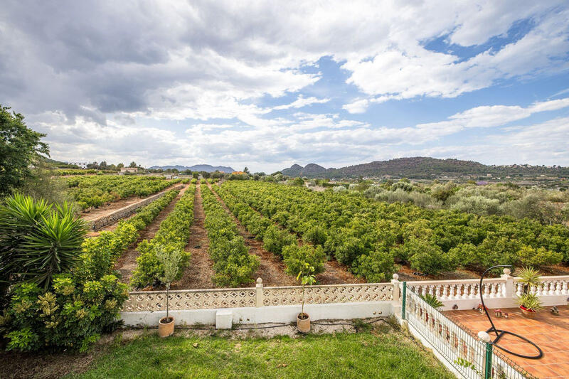 3 Cuarto Villa en venta 3 Cuarto Villa en venta