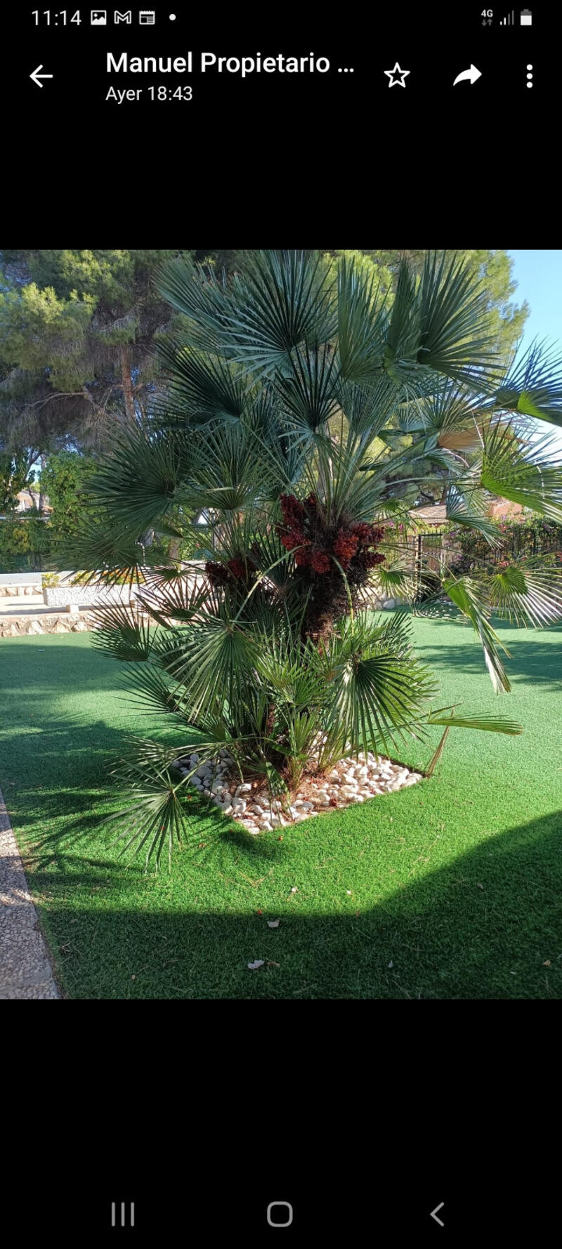 6 bedroom Villa for sale