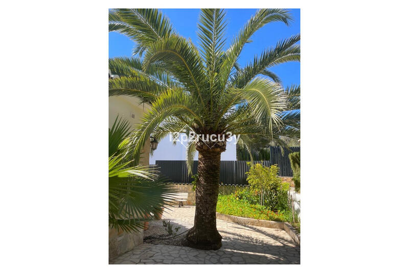 4 chambre Villa à vendre