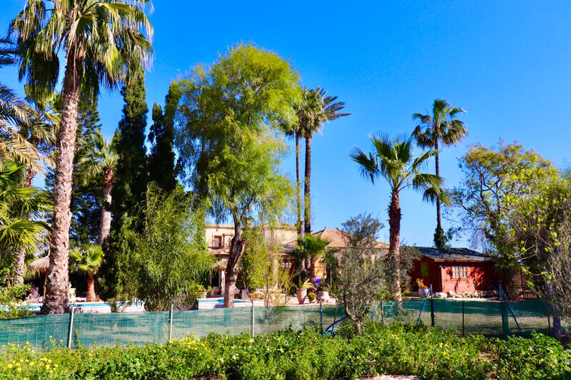 6 chambre Villa à vendre