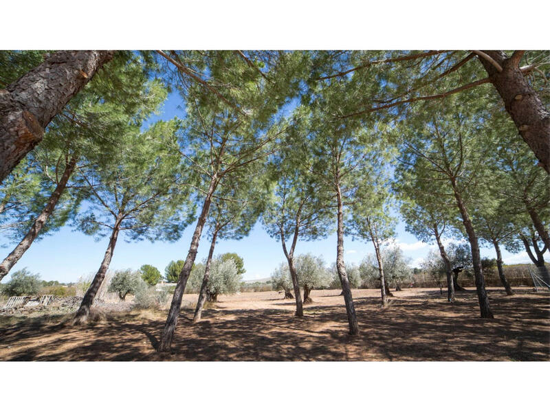 6 sovrum Villa till salu