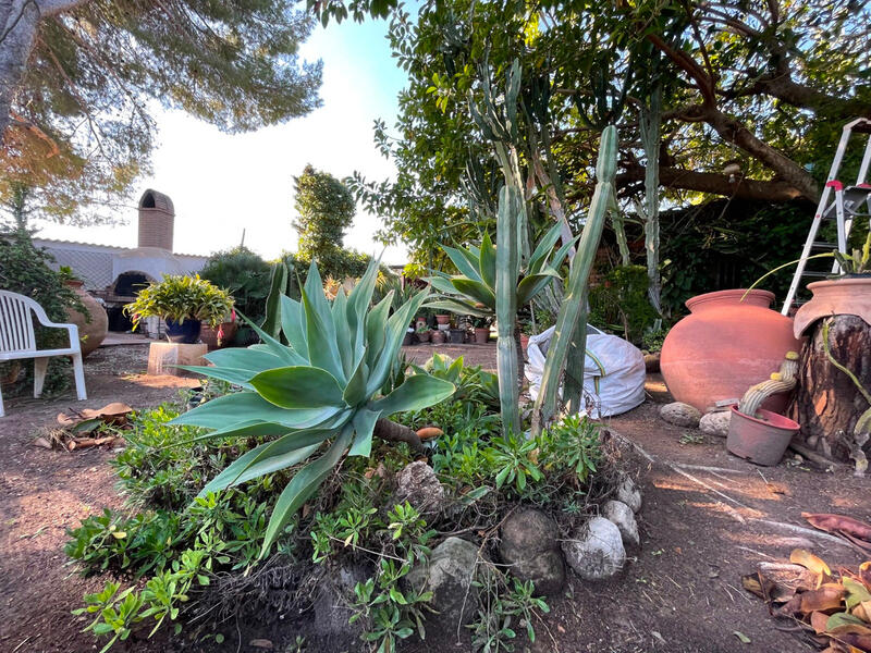 5 slaapkamer Villa Te koop