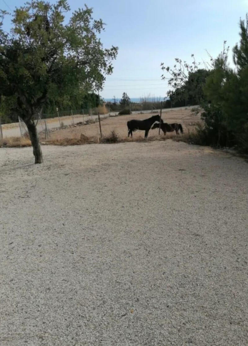 4 спальная комната вилла продается