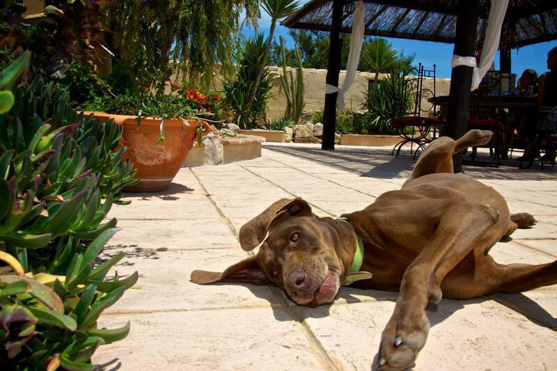 8 Cuarto Casa de Campo en venta