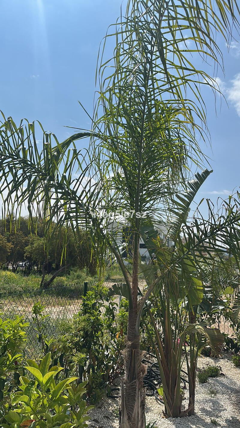 3 soveværelse Lejlighed til salg