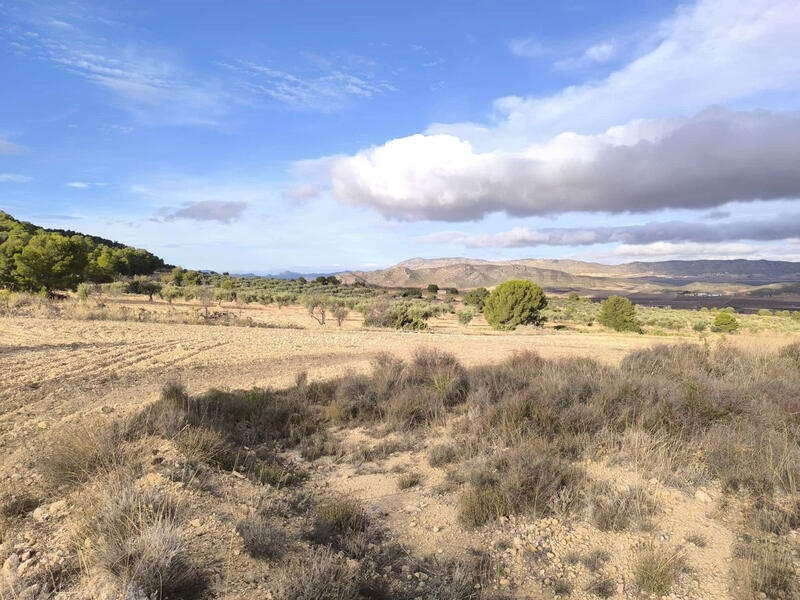 5 bedroom Country House for sale