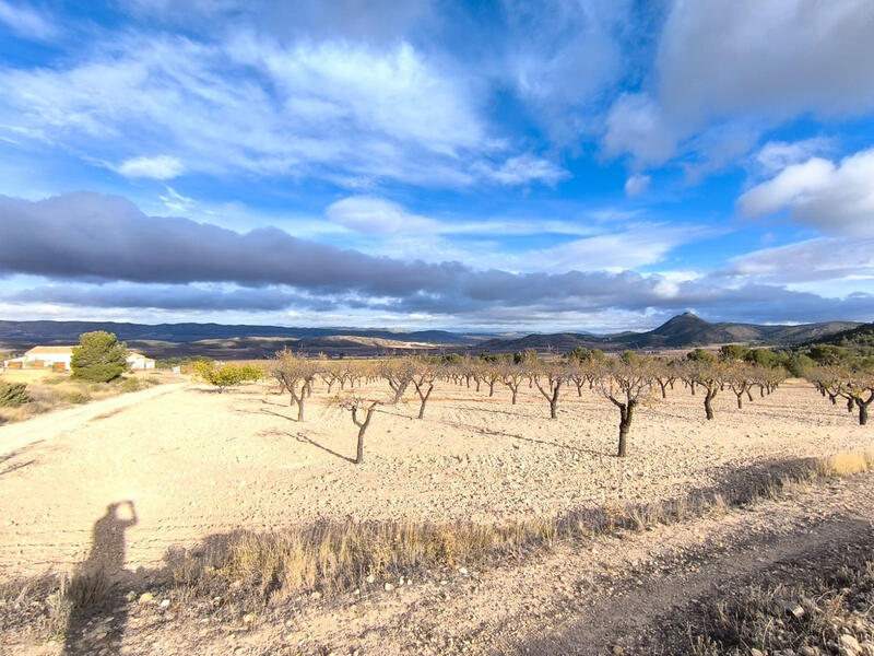 5 bedroom Country House for sale