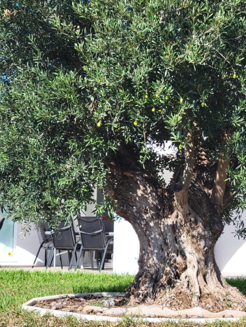 3 Schlafzimmer Villa zu verkaufen