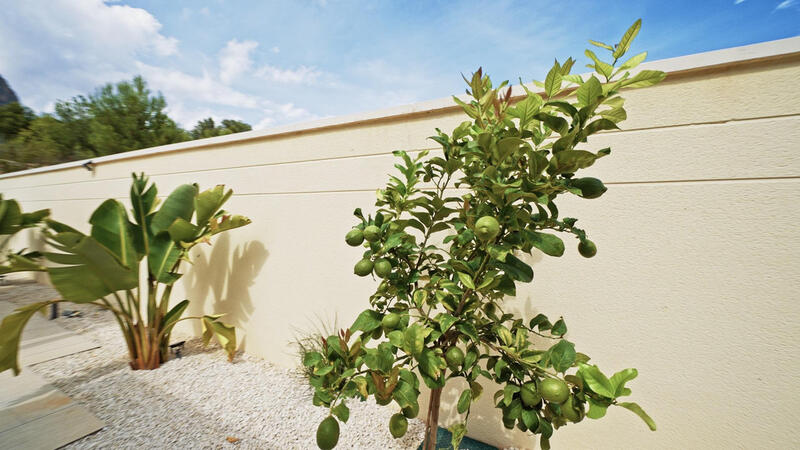 3 chambre Villa à vendre